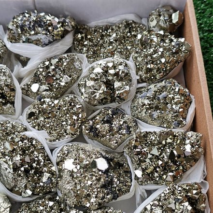 Box 30 pcs pyrite Octahedral