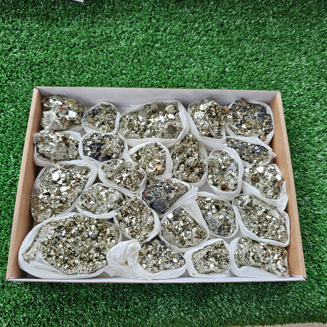 Box 24 pcs pyrite Octahedral