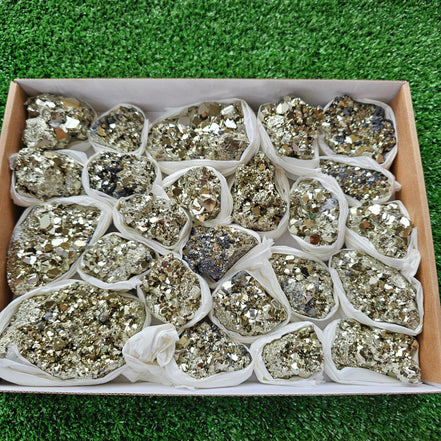 Box 24 pcs pyrite Octahedral