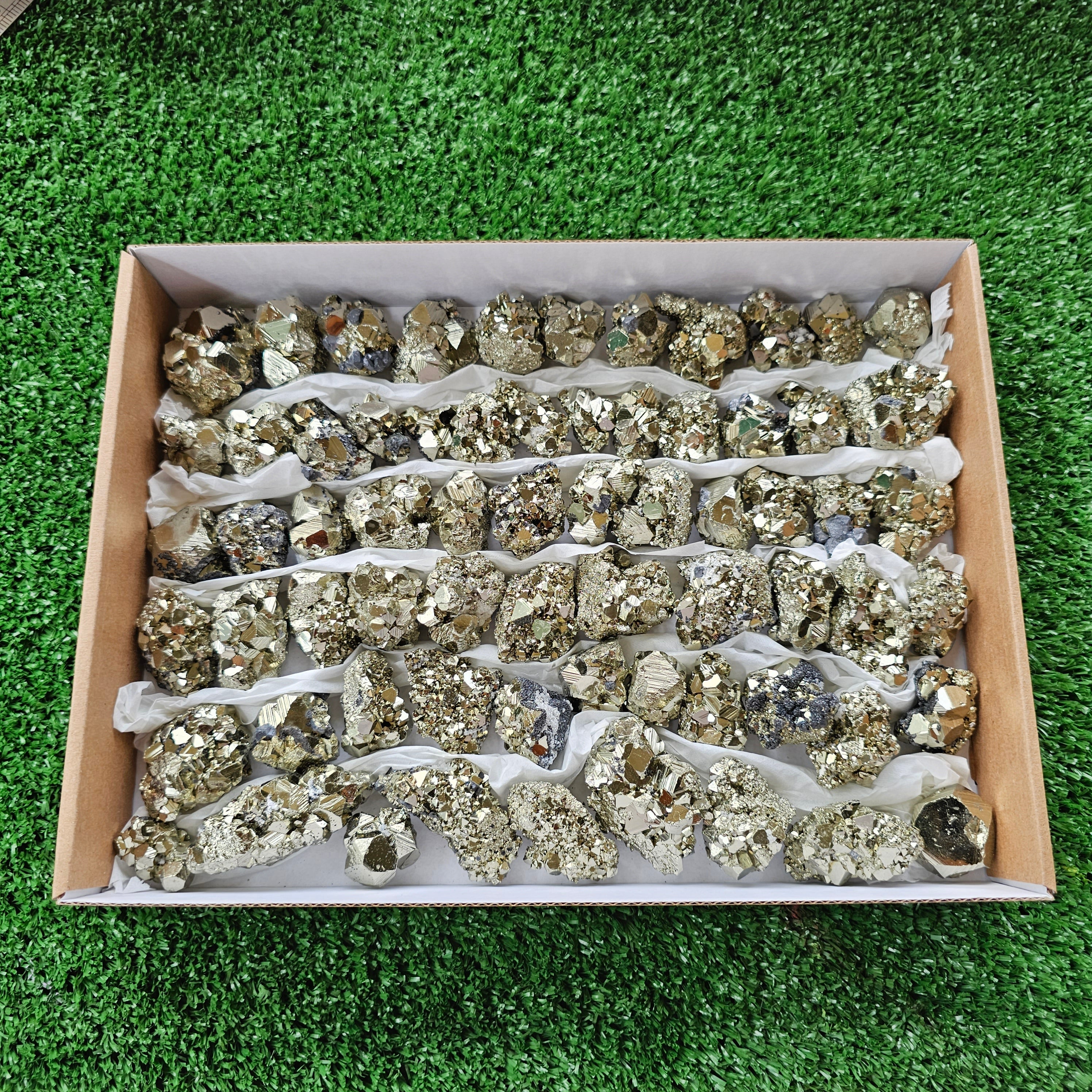 Box 67 pcs pyrite octahedral