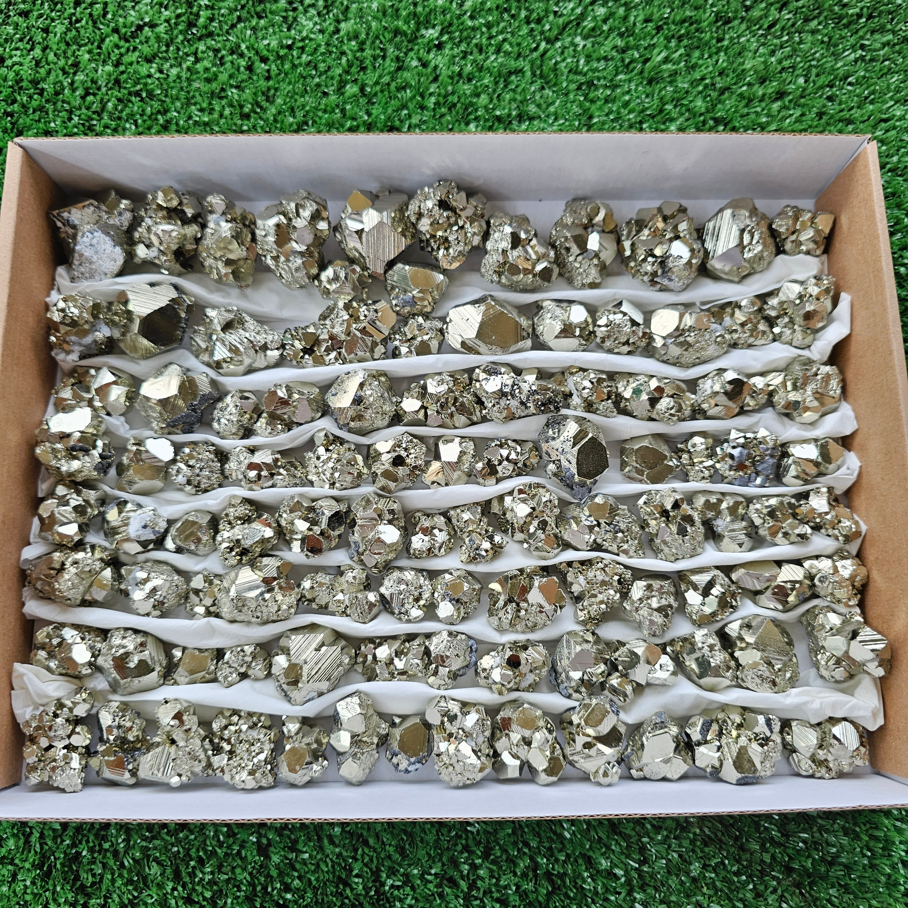 Box 100 pcs pyrite Octahedral