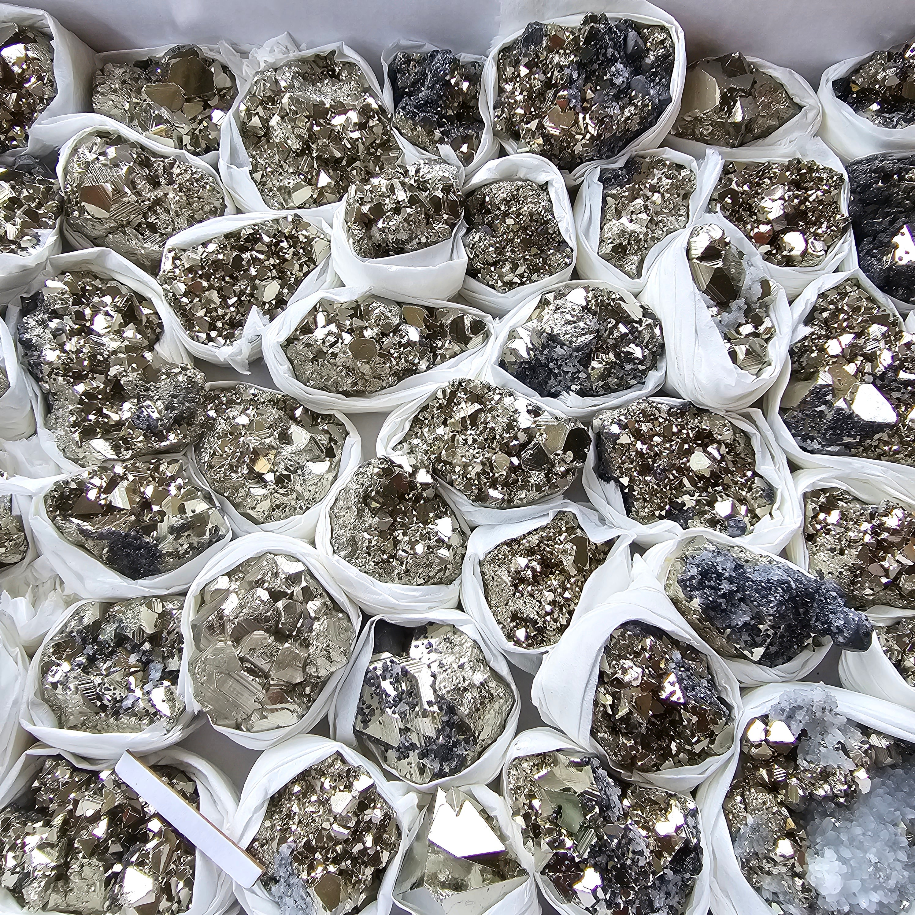 Box 44 pcs pyrite Octahedral