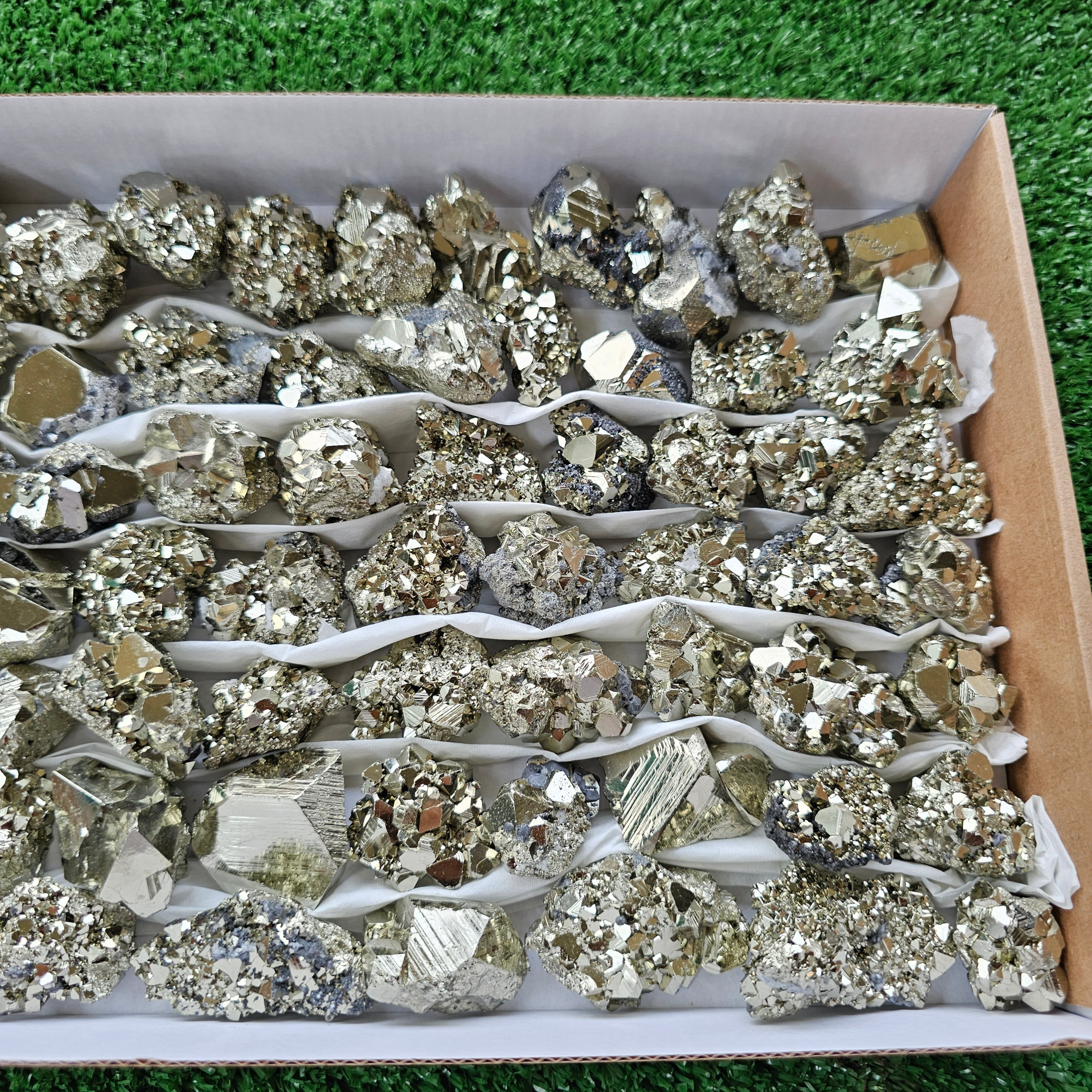 Box 60 pcs pyrite Octahedral