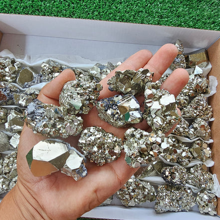 Box 60 pcs pyrite Octahedral
