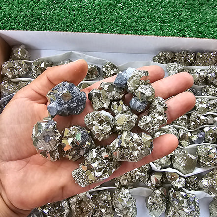 Box 104 pcs pyrite Octahedral