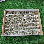 Box 90 pcs pyrite Octahedral