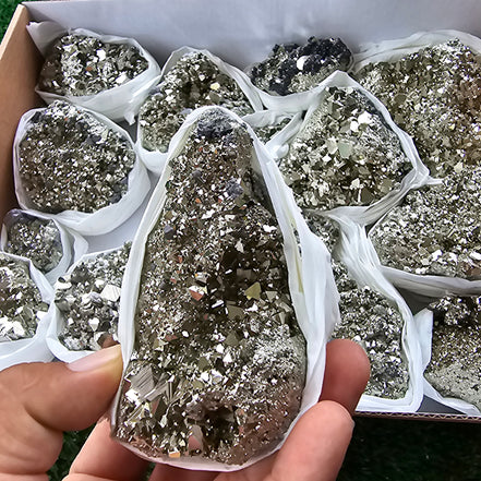 Box 14 pcs pyrite Octahedral