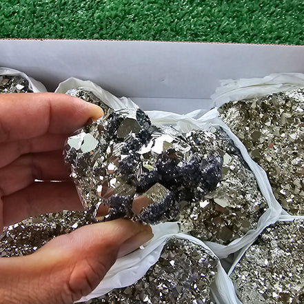 Box 14 pcs pyrite Octahedral