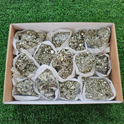 Box 13 pcs pyrite Octahedral