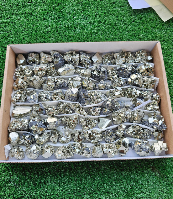 Box 80 pcs pyrite Octahedral