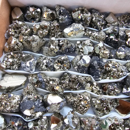 Box 80 pcs pyrite Octahedral