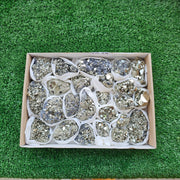 Box 24 pcs pyrite Octahedral