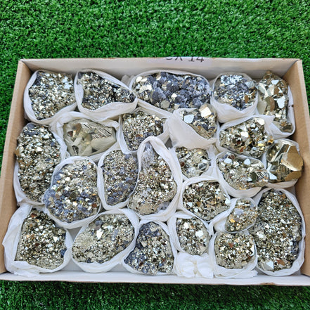 Box 24 pcs pyrite Octahedral