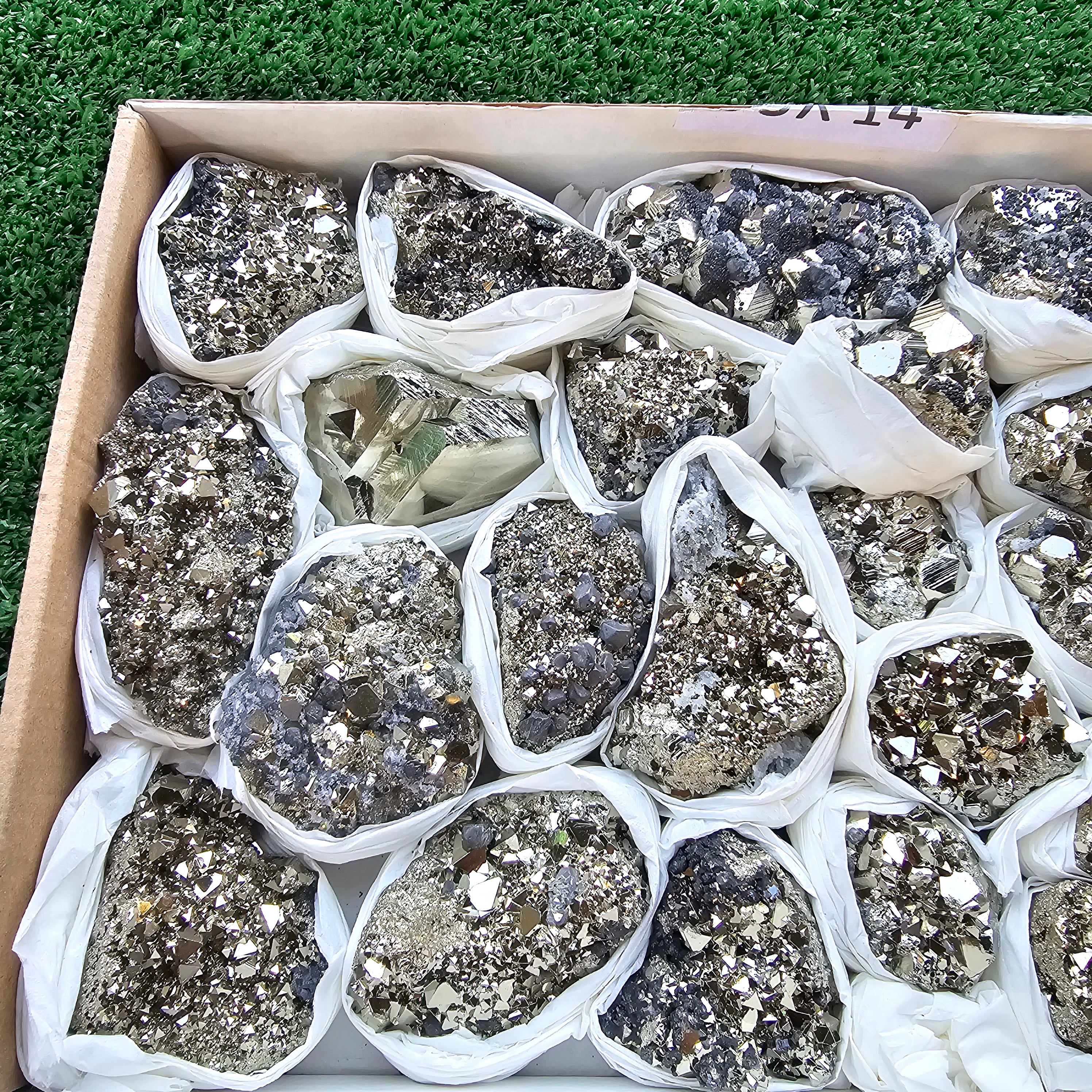 Box 24 pcs pyrite Octahedral