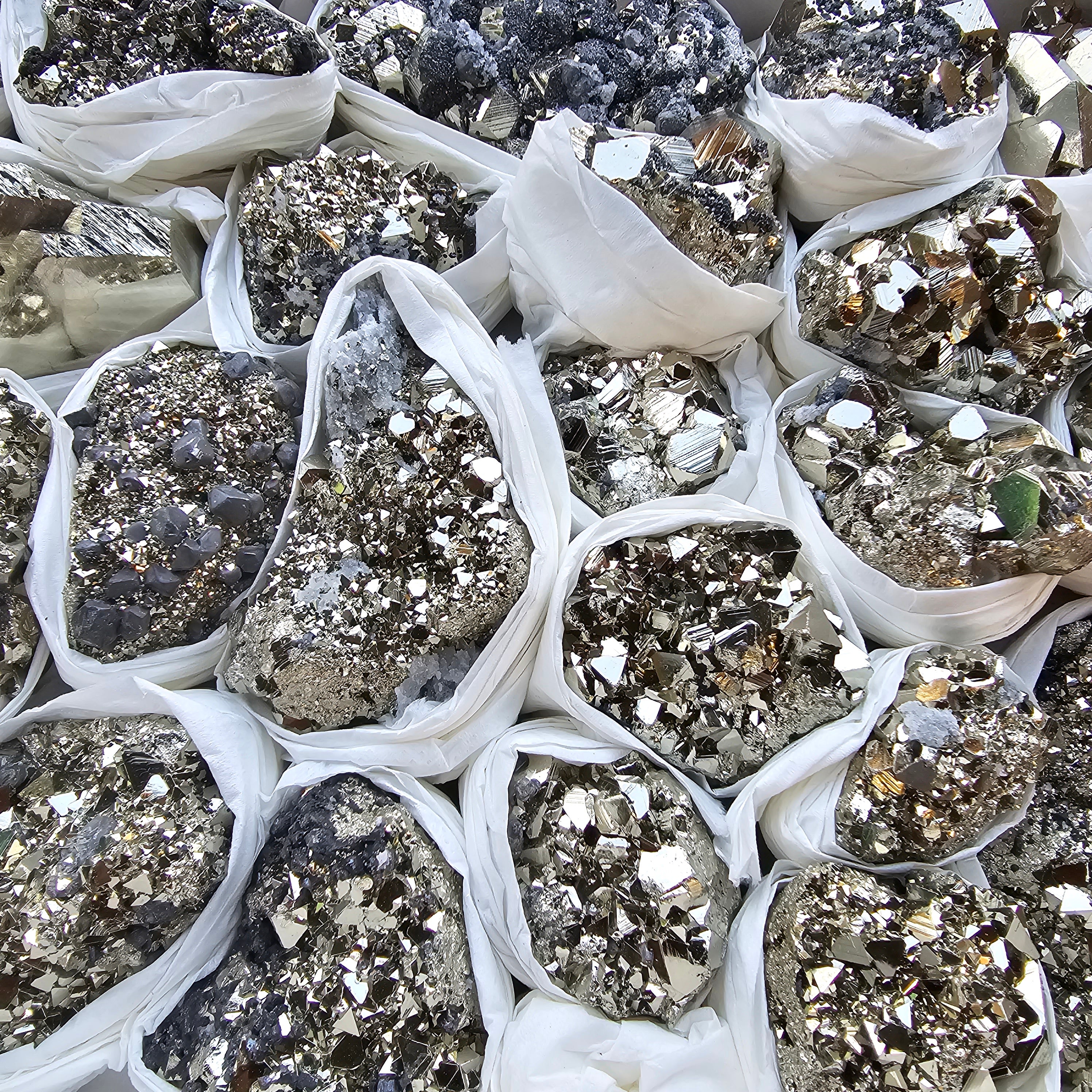 Box 24 pcs pyrite Octahedral