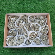 Box 19 pcs pyrite Octahedral
