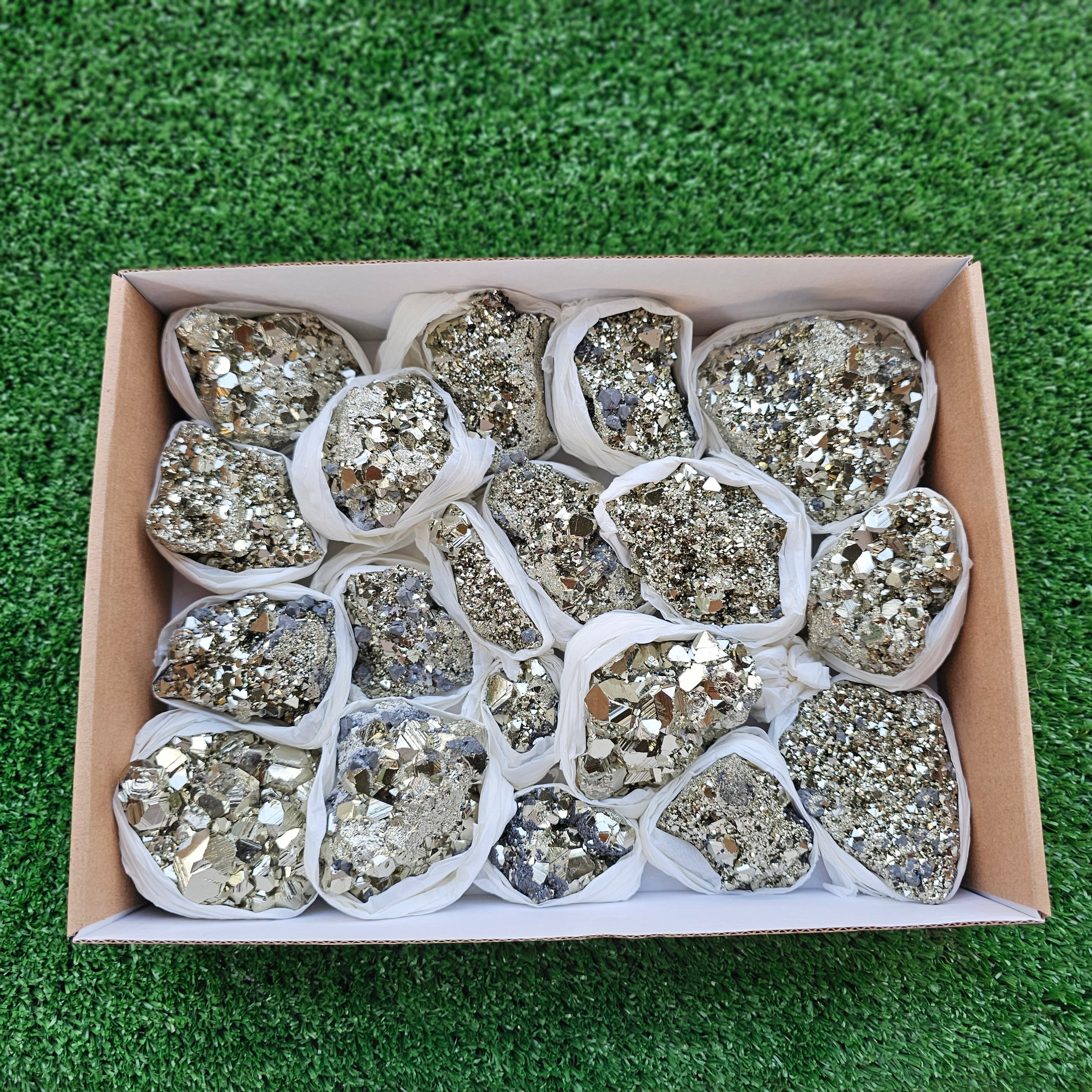 Box 19 pcs pyrite Octahedral