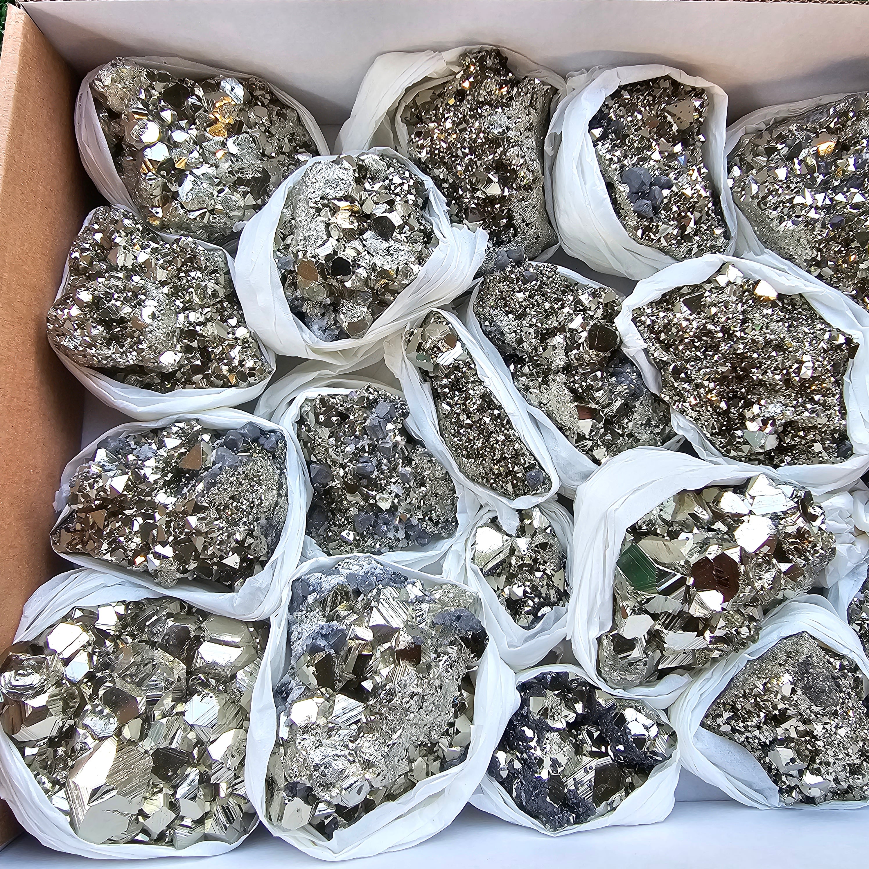 Box 19 pcs pyrite Octahedral
