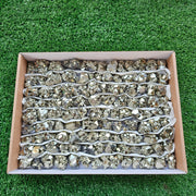 Box 111 pcs pyrite Octahedral