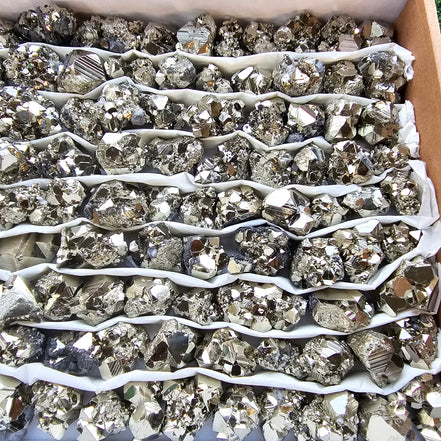 Box 111 pcs pyrite Octahedral