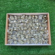Box 68 pcs pyrite Octahedral