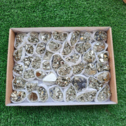 Box 43 pcs pyrite Octahedral