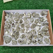 50 pc pyrite Cubic