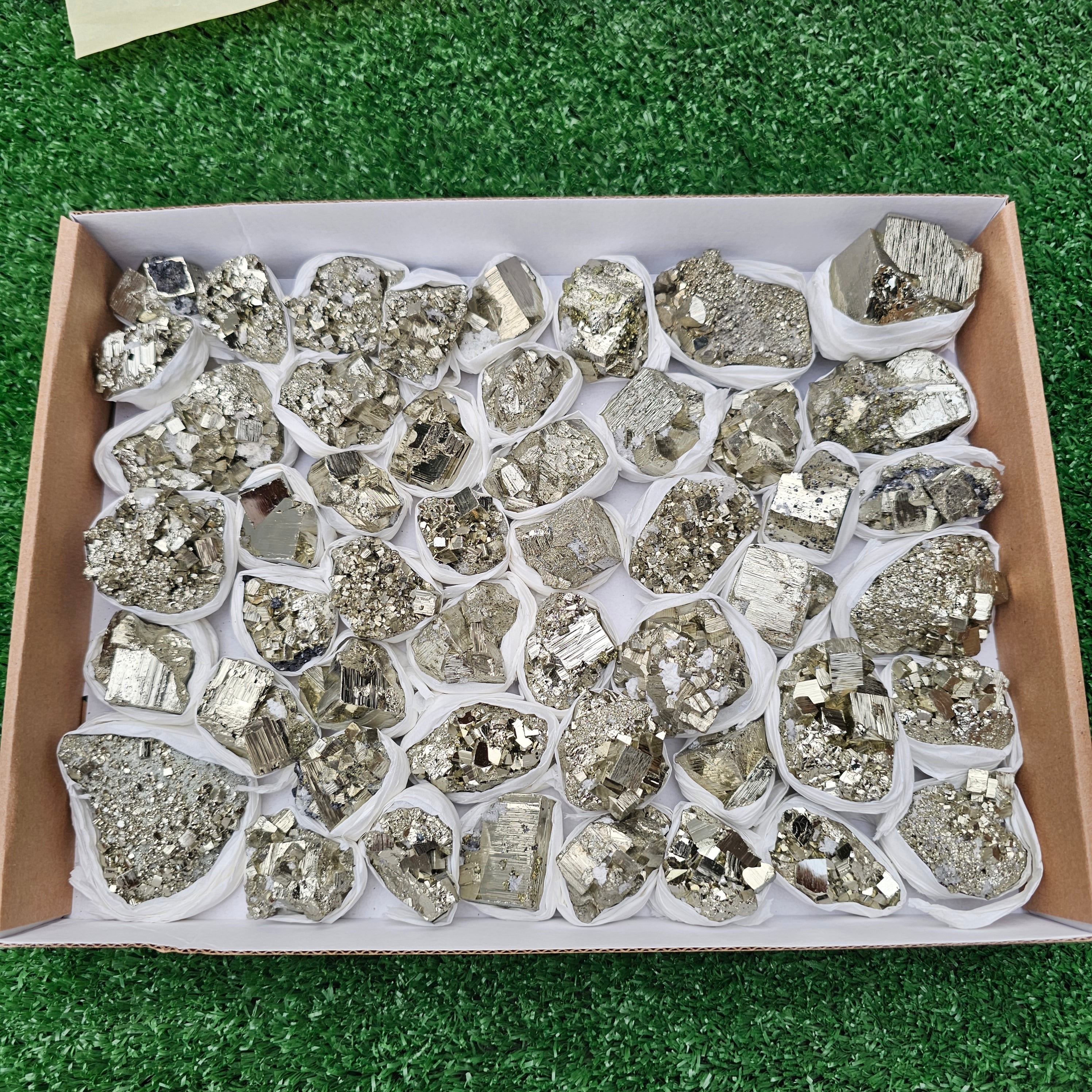 50 pc pyrite Cubic
