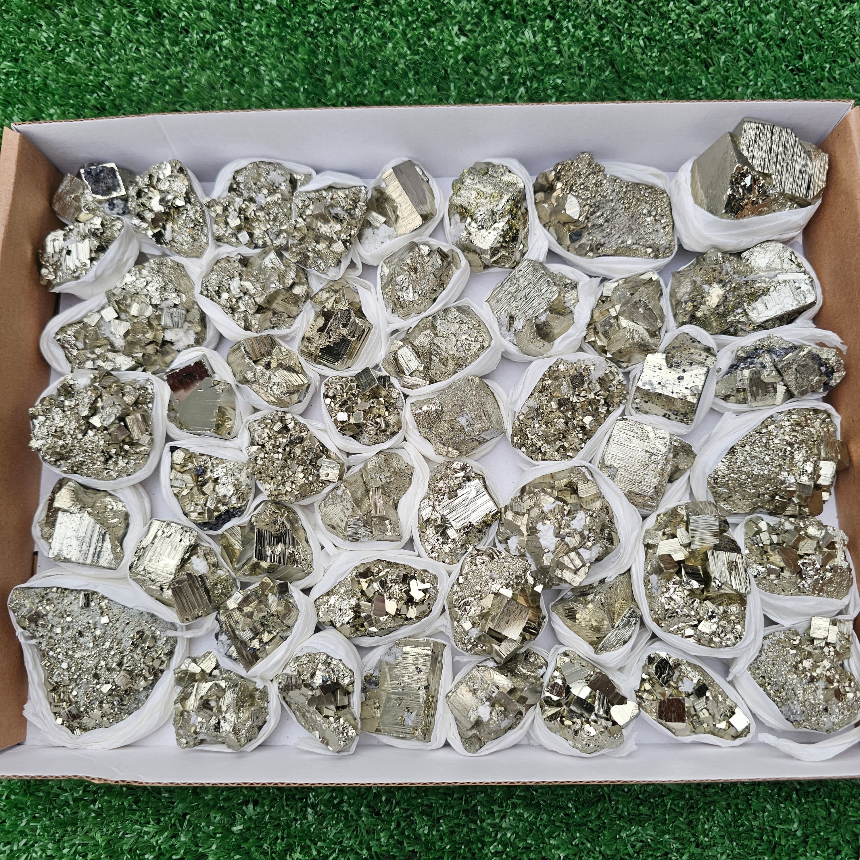 50 pc pyrite Cubic