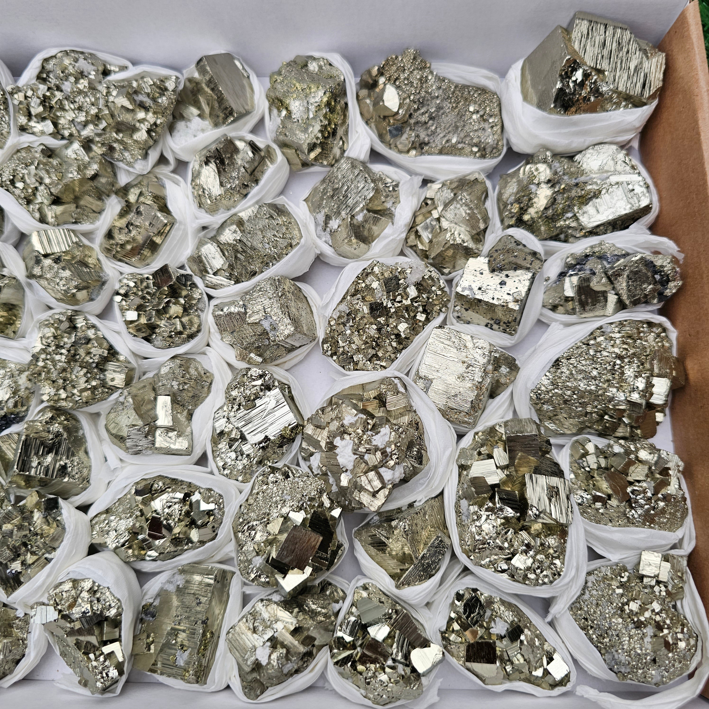 50 pc pyrite Cubic