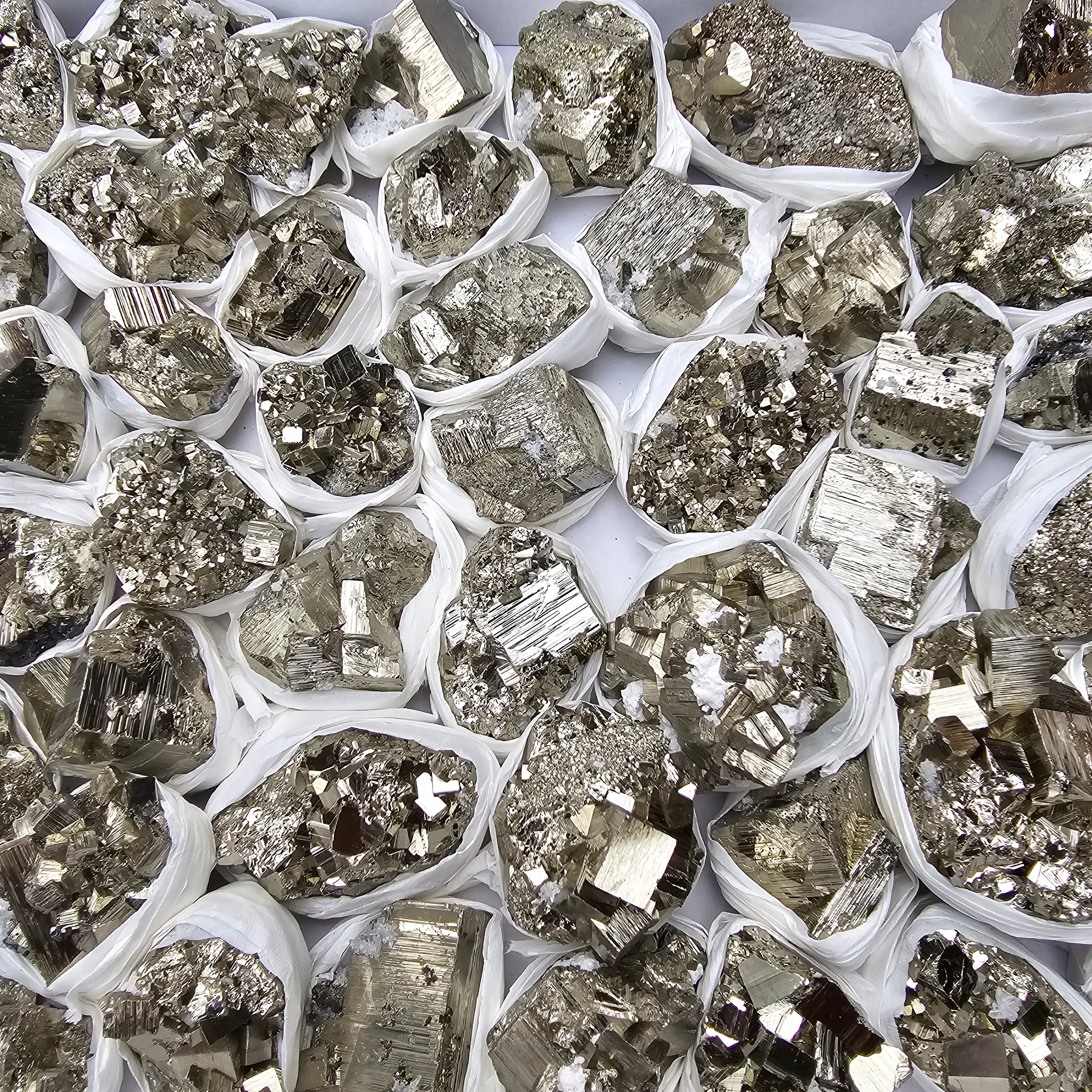 50 pc pyrite Cubic