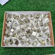 48 pc pyrite Cubic