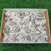 41 pc pyrite Cubic