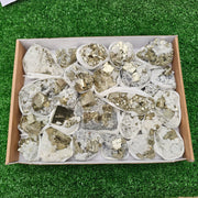 25 pc pyrite Cubic