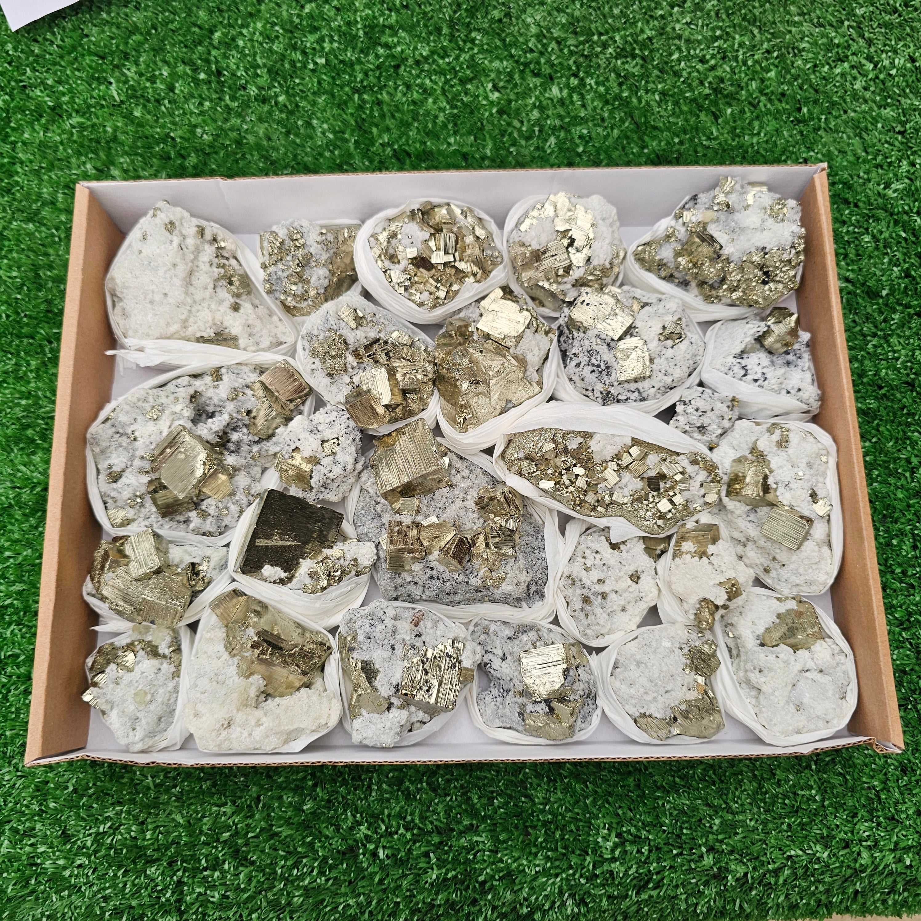 25 pc pyrite Cubic