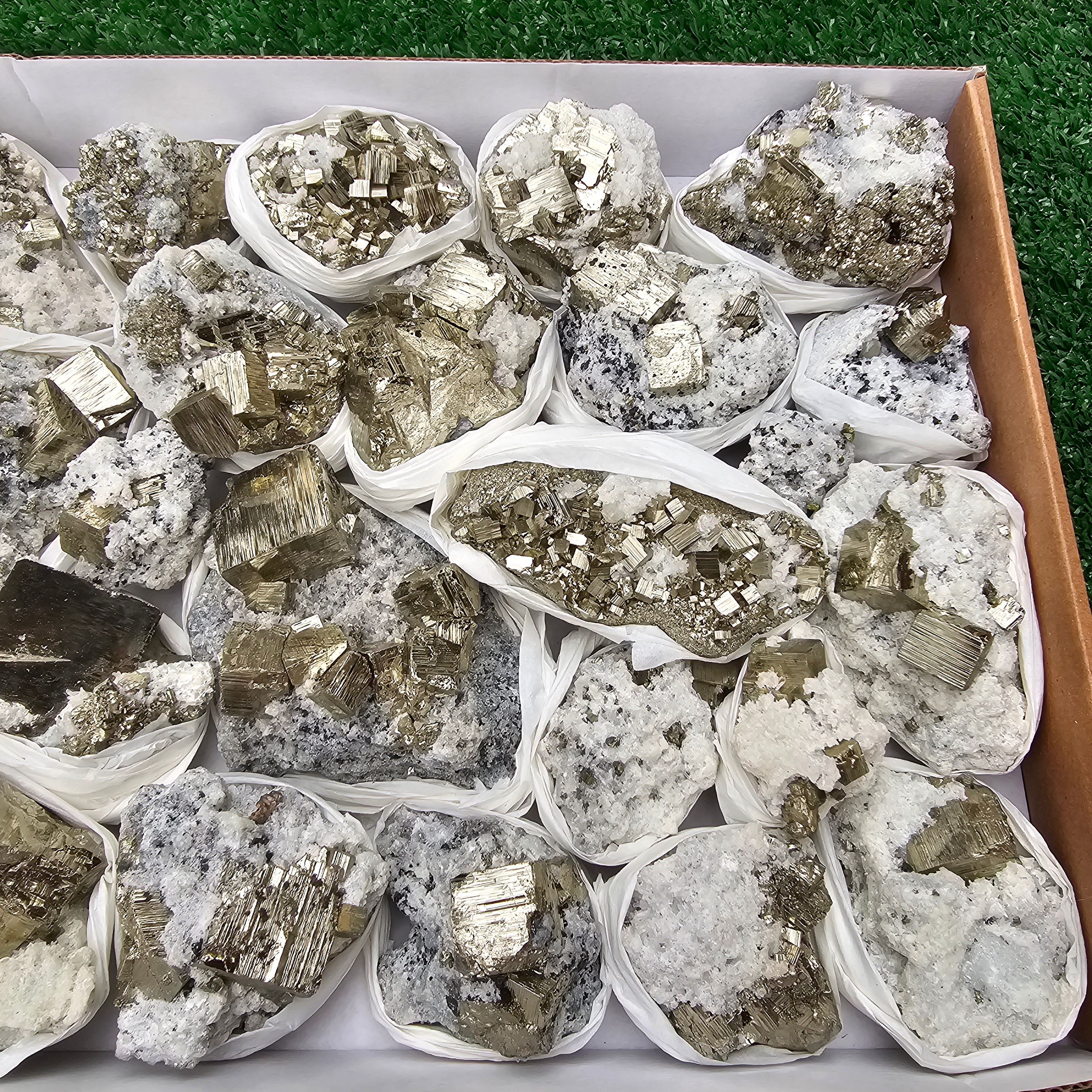 25 pc pyrite Cubic