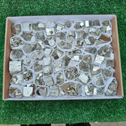 63 pc Box Pyrite Cubic