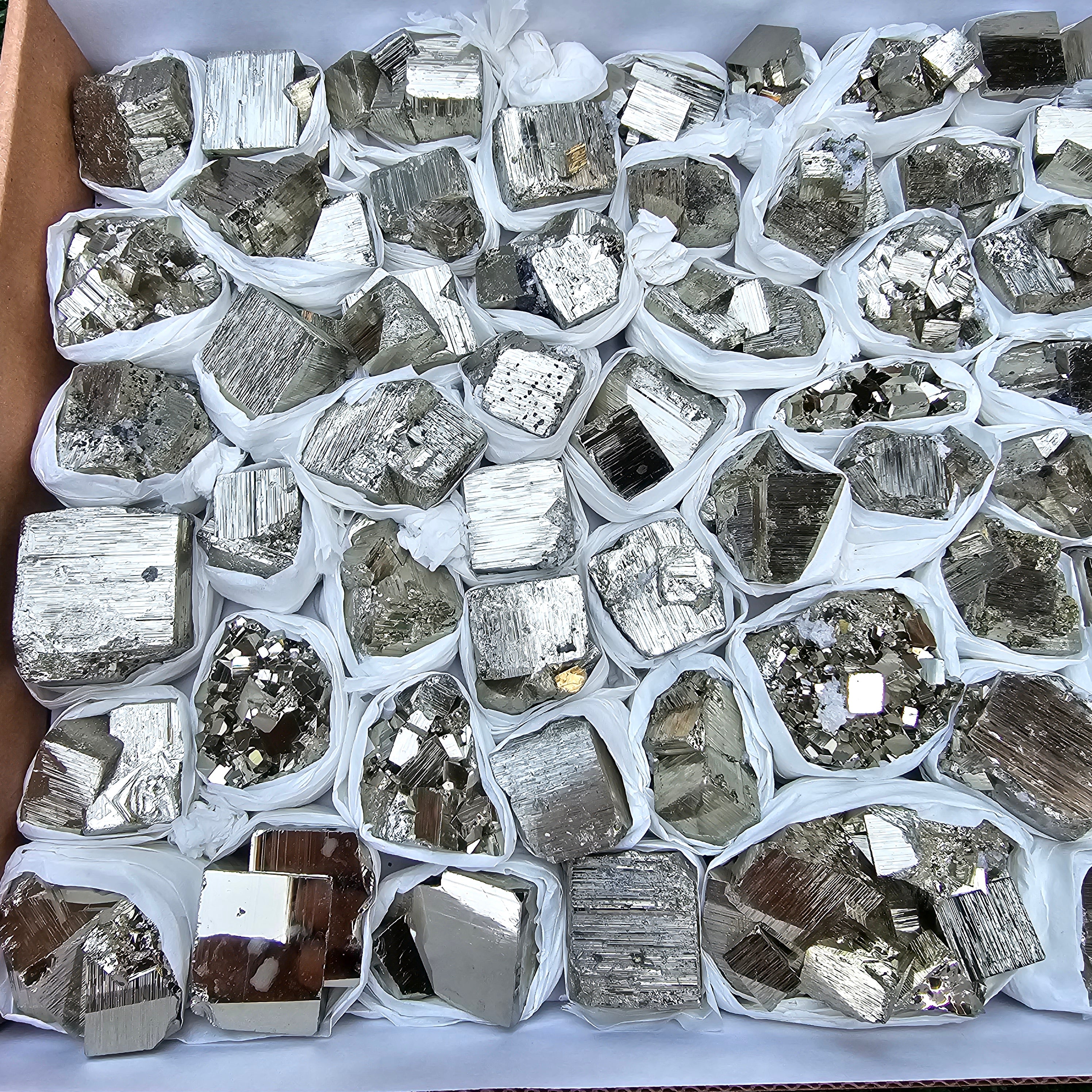63 pc Box Pyrite Cubic