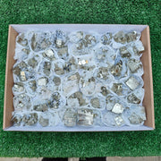 48 pc Pyrite Cubic with calcite flourecent
