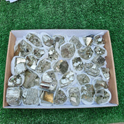 32 pc Box Pyrite Cubic