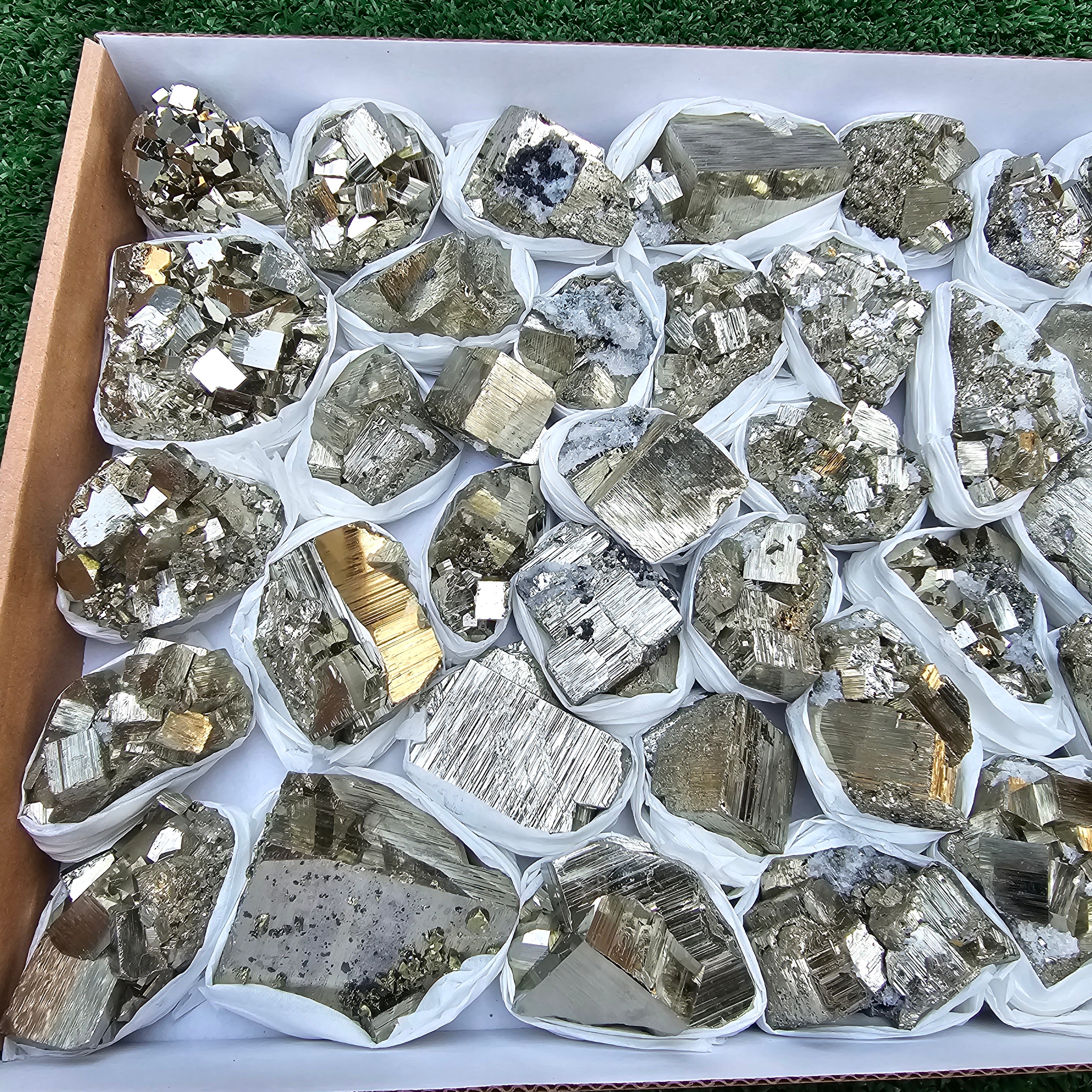 40 pc Box Pyrite Cubic