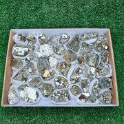 41 pc Box Pyrite Cubic