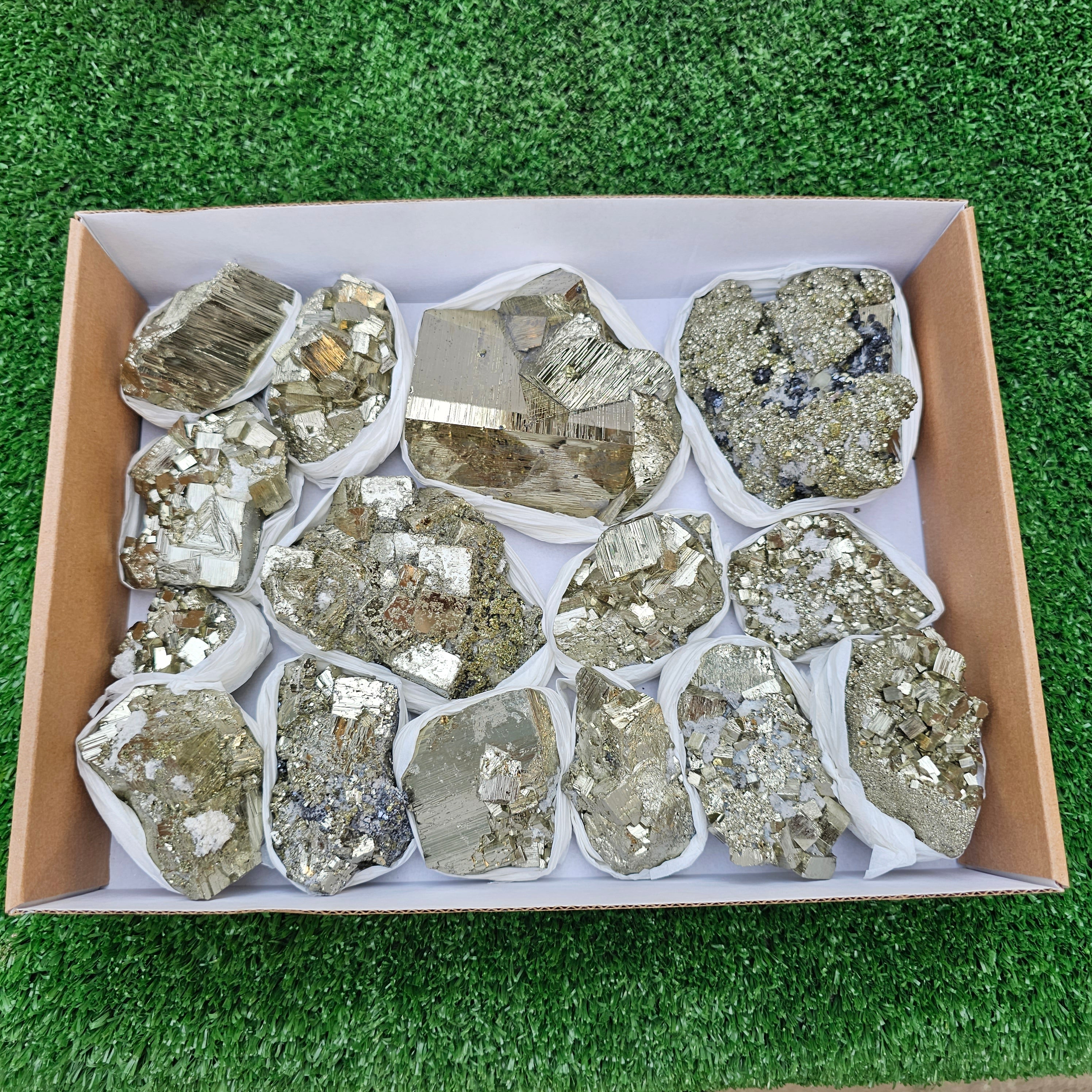 15 pc Box Pyrite Cubic