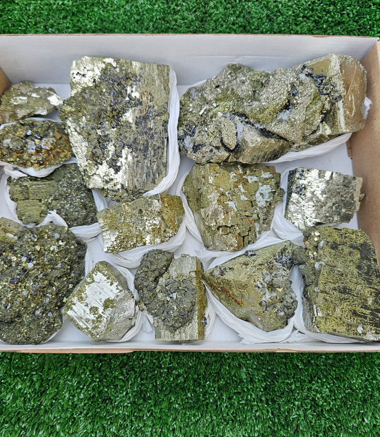 13 pc Pyrite Cubic with chalcopyrite