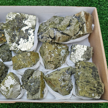 13 pc Pyrite Cubic with chalcopyrite