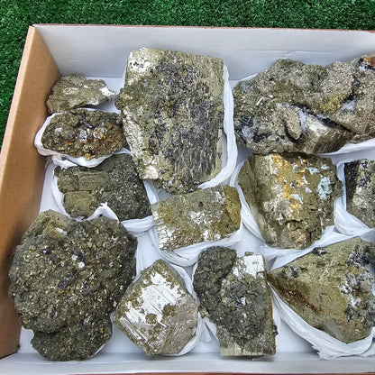 13 pc Pyrite Cubic with chalcopyrite