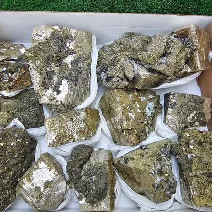 13 pc Pyrite Cubic with chalcopyrite