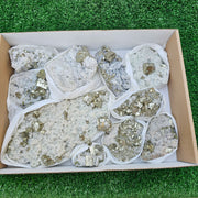 10 pc Pyrite Cubic with calcite flourecent