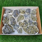 18 pc Galena crystals on octahedral pyrite
