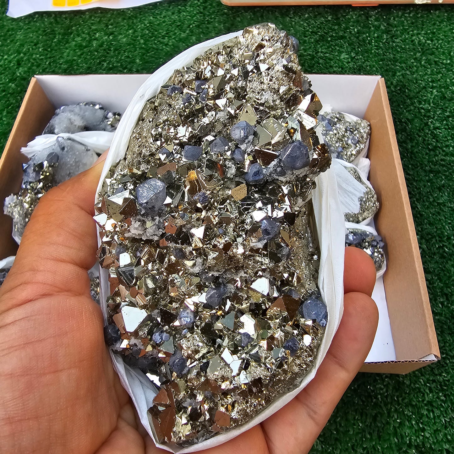18 pc Galena crystals on octahedral pyrite